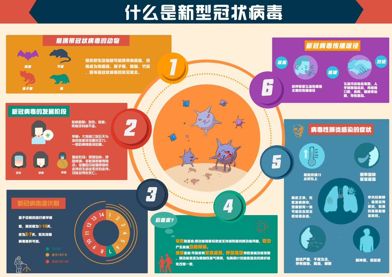 什么是新型冠状病毒徐俐妍 龙雨菁 李灵茜 闫喜喜